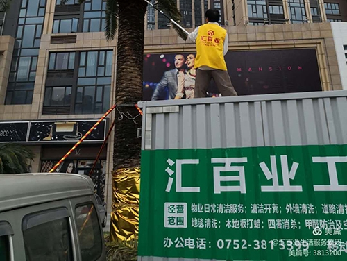 绿化养护案例