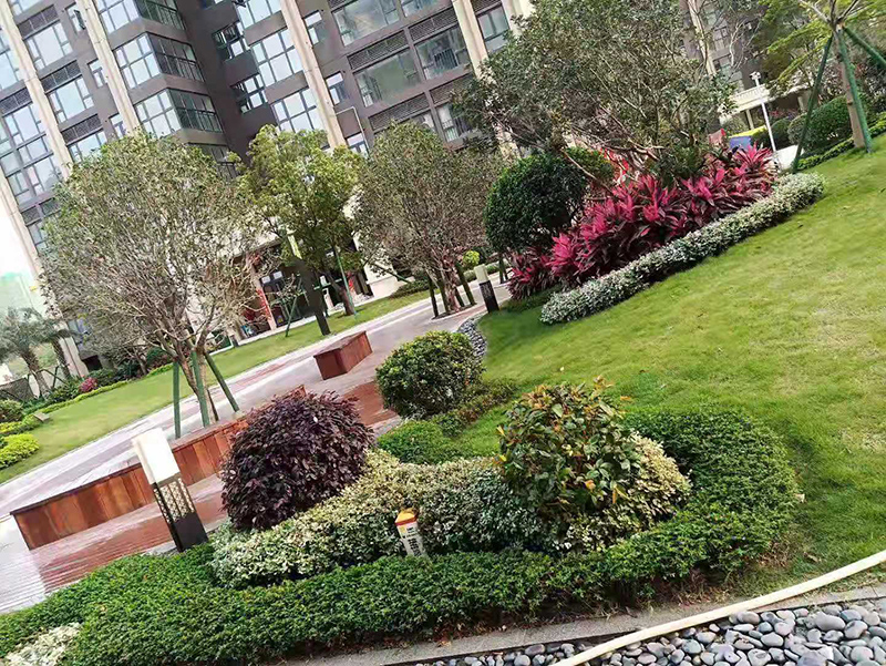 物业绿化服务 (2).jpg