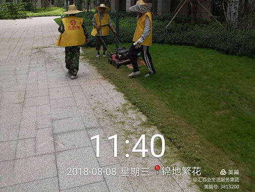 绿化养护案例 (27).jpg