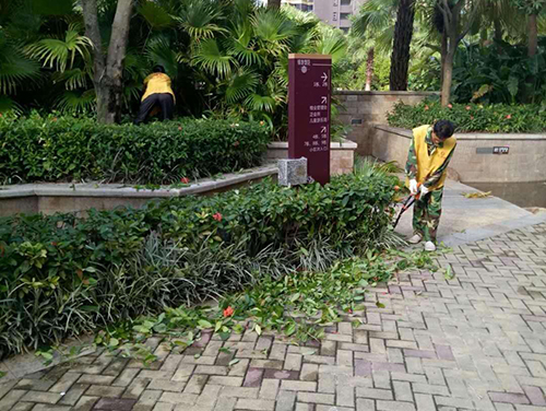 绿化养护案例 (25).jpg